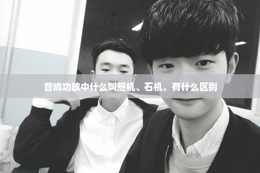 音响功放中什么叫胆机、石机，有什么区别