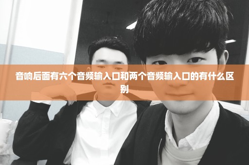 音响后面有六个音频输入口和两个音频输入口的有什么区别