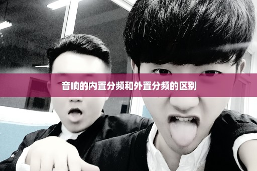 音响的内置分频和外置分频的区别
