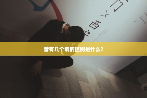 音有几个调的区别是什么？