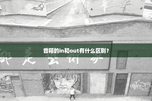 音箱的in和out有什么区别？