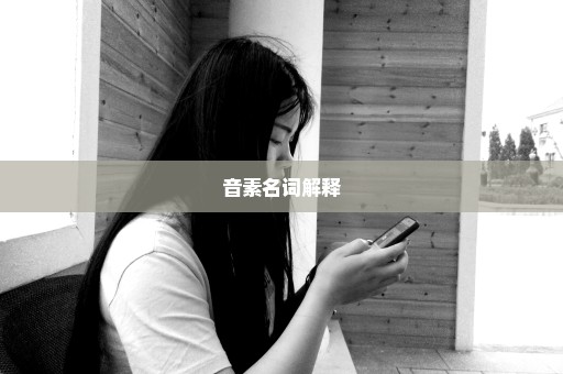 音素名词解释