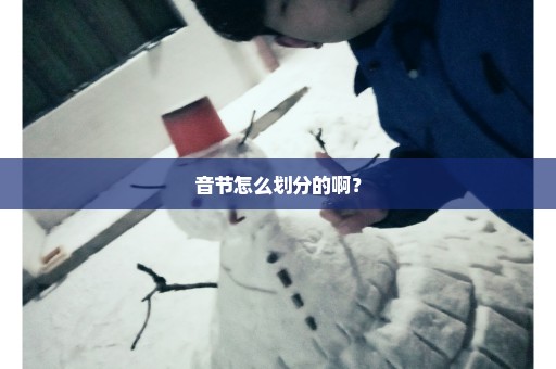 音节怎么划分的啊？