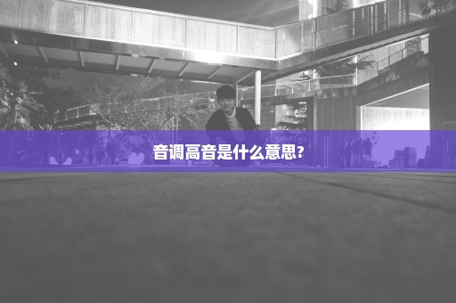 音调高音是什么意思?