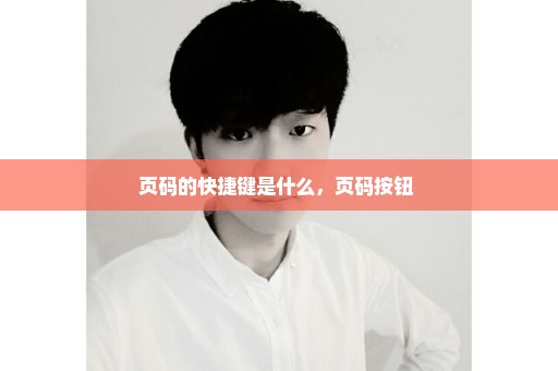 页码的快捷键是什么，页码按钮 