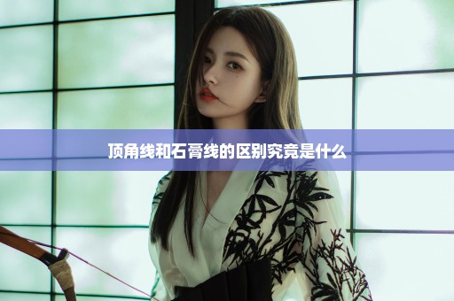 顶角线和石膏线的区别究竟是什么