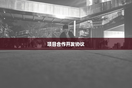项目合作开发协议