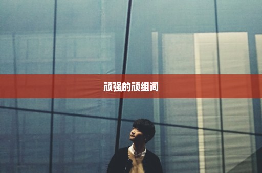 顽强的顽组词