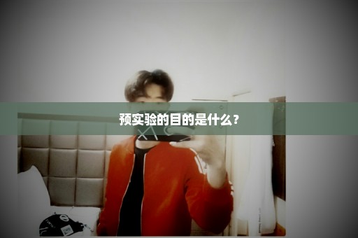 预实验的目的是什么？