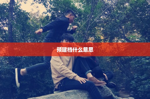 预建档什么意思