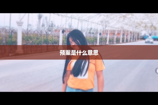 预案是什么意思