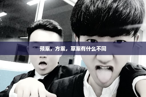 预案，方案，草案有什么不同