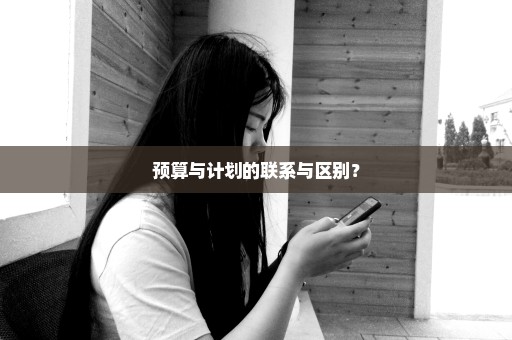 预算与计划的联系与区别？