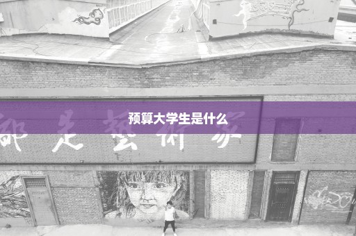 预算大学生是什么