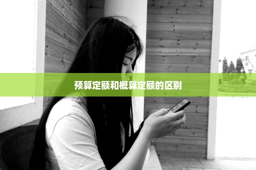 预算定额和概算定额的区别