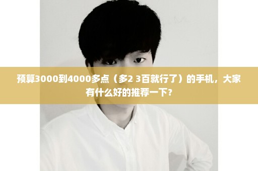 预算3000到4000多点（多2 3百就行了）的手机，大家有什么好的推荐一下？