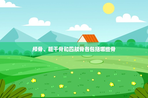 颅骨、躯干骨和四肢骨各包括哪些骨