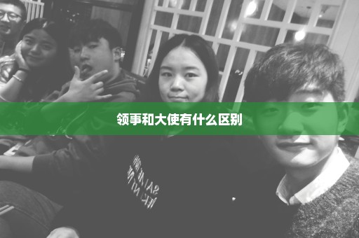 领事和大使有什么区别