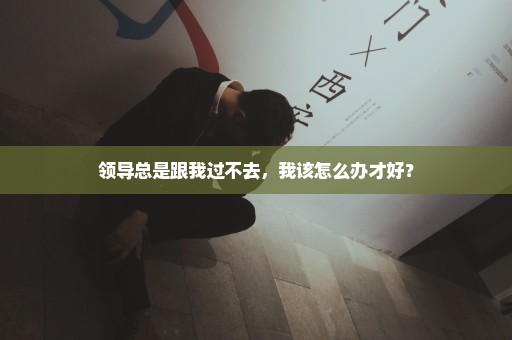 领导总是跟我过不去，我该怎么办才好？