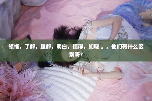 领悟，了解，理解，明白，懂得，知晓 。。他们有什么区别呀？