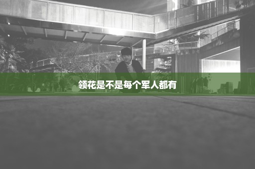 领花是不是每个军人都有