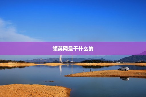 领英网是干什么的