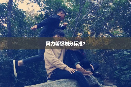 风力等级划分标准？