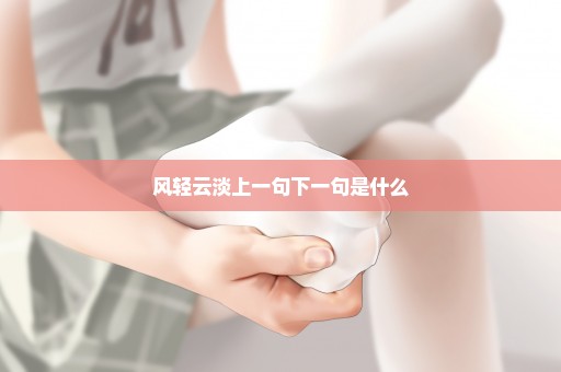 风轻云淡上一句下一句是什么
