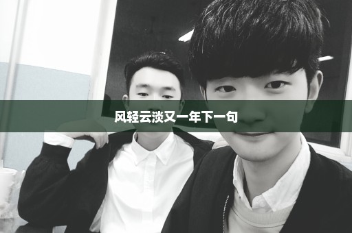风轻云淡又一年下一句