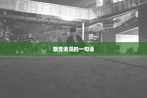 飘雪浪漫的一句话