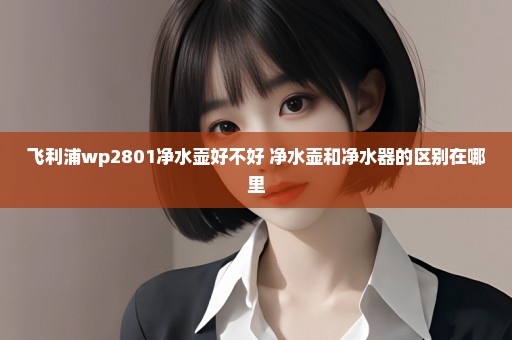 飞利浦wp2801净水壶好不好 净水壶和净水器的区别在哪里