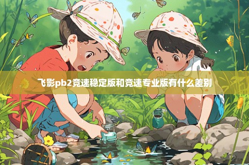飞影pb2竞速稳定版和竞速专业版有什么差别