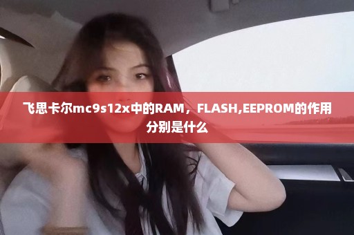 飞思卡尔mc9s12x中的RAM，FLASH,EEPROM的作用分别是什么