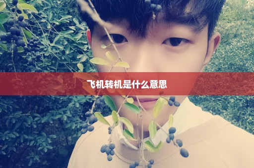 飞机转机是什么意思