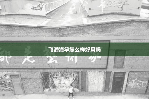 飞潜海竿怎么样好用吗