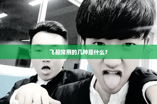 飞艇常用的几种是什么？