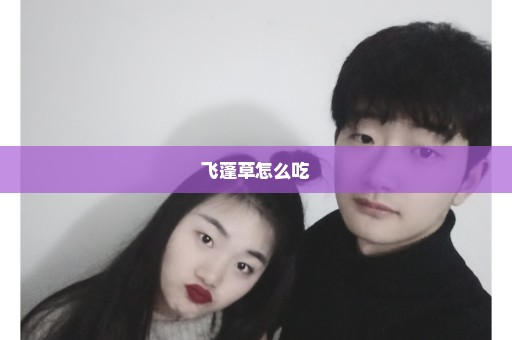 飞蓬草怎么吃