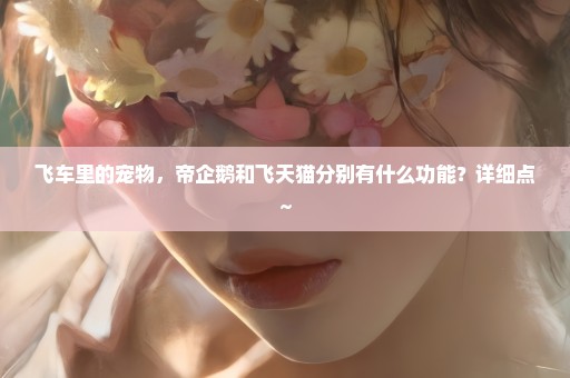 飞车里的宠物，帝企鹅和飞天猫分别有什么功能？详细点~