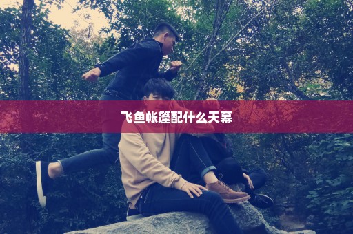 飞鱼帐篷配什么天幕