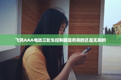 飞鸽AAA电动三轮车控制器是有刷的还是无刷的