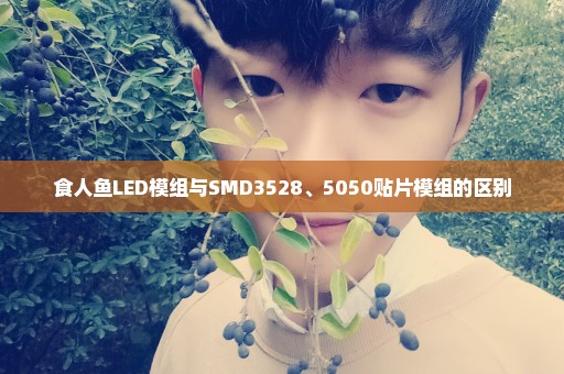 食人鱼LED模组与SMD3528、5050贴片模组的区别
