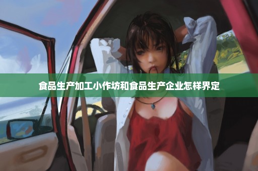 食品生产加工小作坊和食品生产企业怎样界定