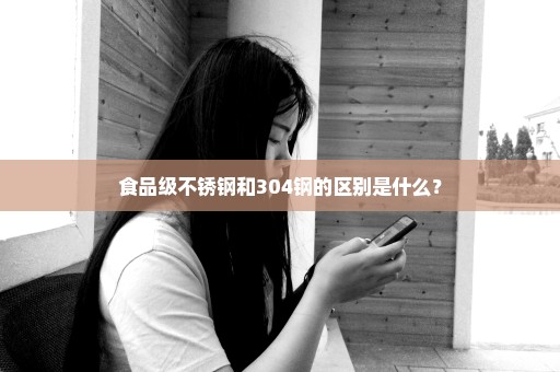 食品级不锈钢和304钢的区别是什么？