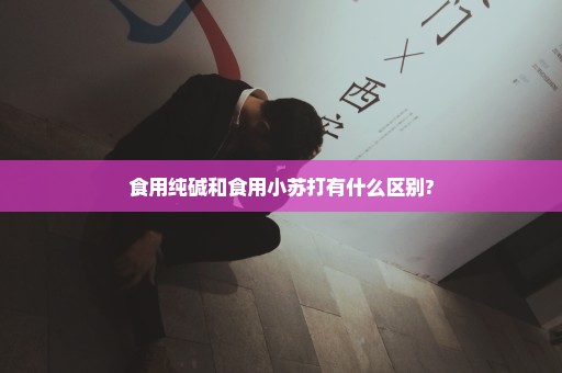 食用纯碱和食用小苏打有什么区别?