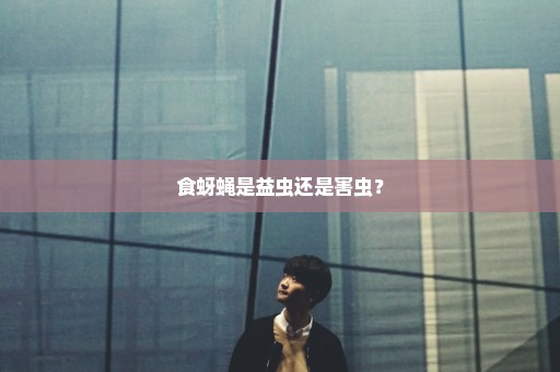 食蚜蝇是益虫还是害虫？