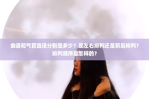 食道和气管直径分别是多少？是左右排列还是前后排列？排列顺序是怎样的？