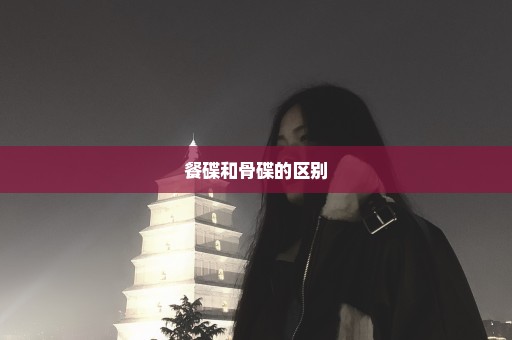餐碟和骨碟的区别