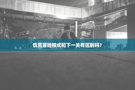 饥荒冒险模式和下一关有区别吗？