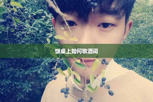 饭桌上如何敬酒词
