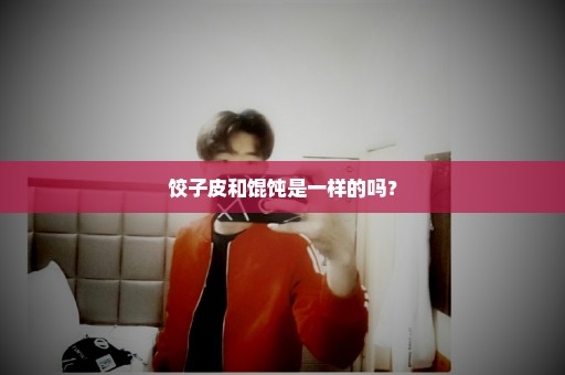 饺子皮和馄饨是一样的吗？